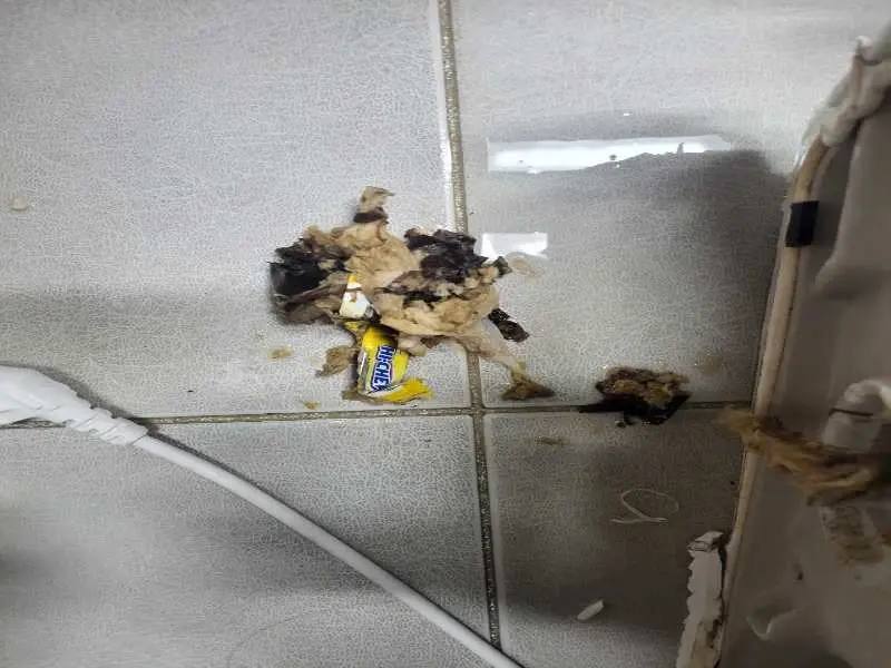 동탄 변기 이물질 제거 사례 6